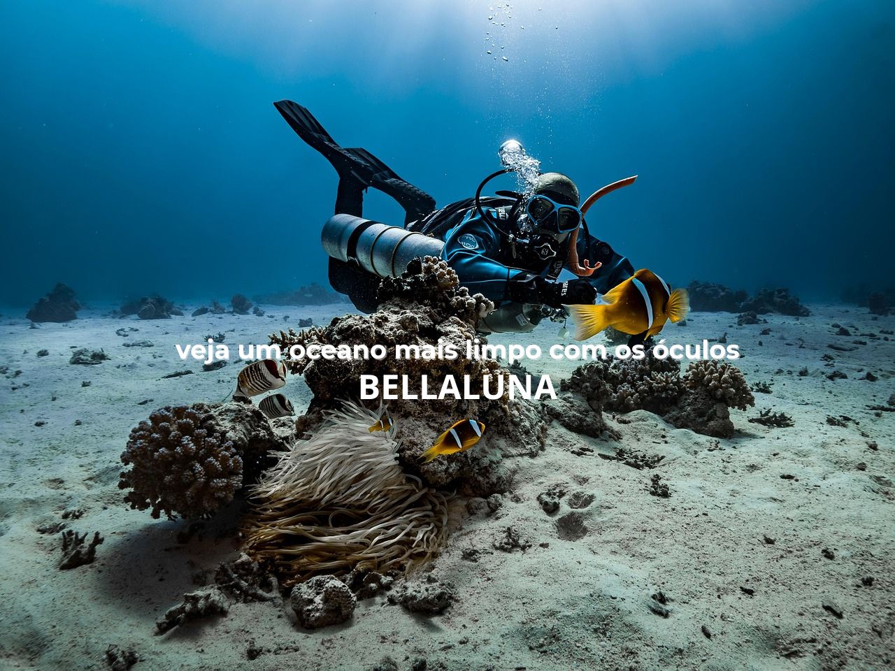 Ocean Collections